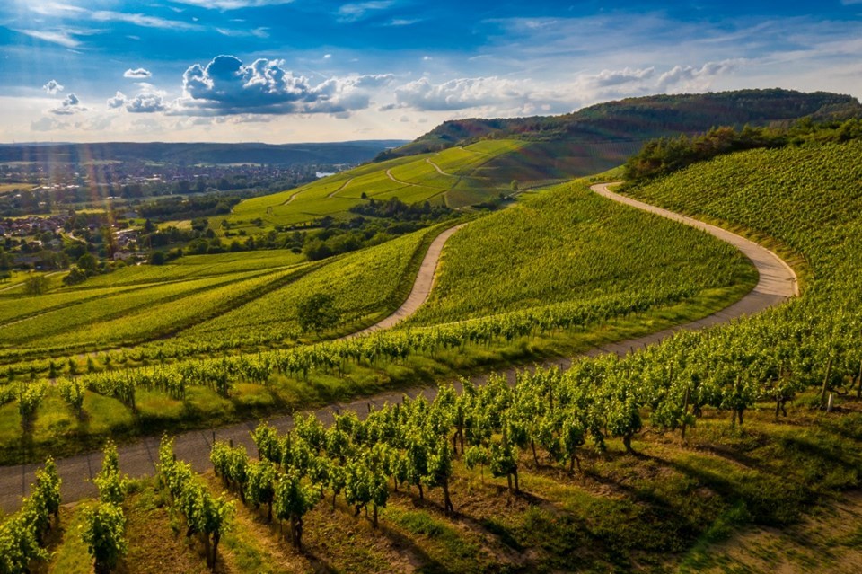 Pessoa física poderá investir em condomínio de produção rural no Espírito Santo