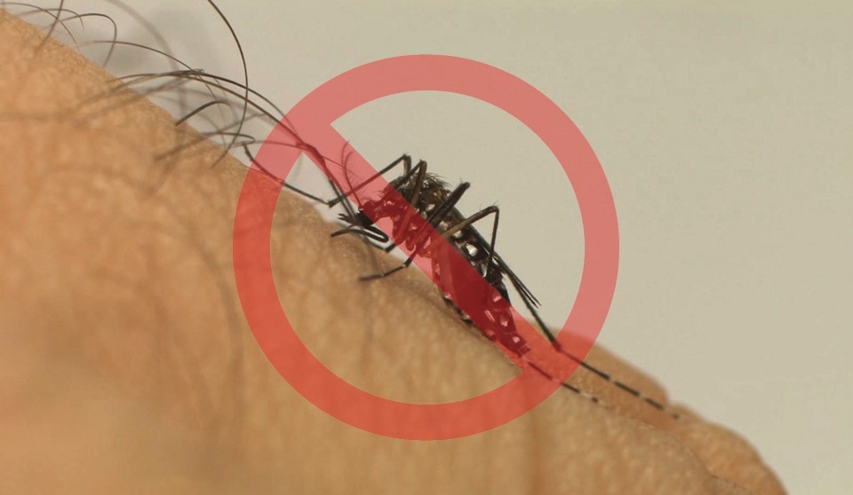 Espírito Santo registra mais de 2 mil casos de chikungunya em 2021