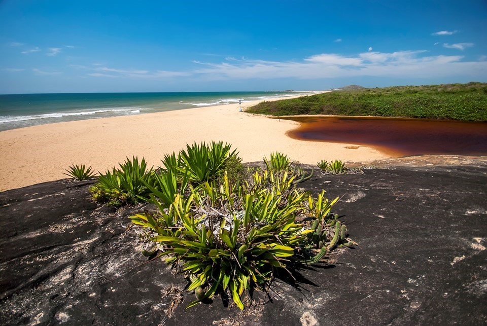 Confira o funcionamento dos parques estaduais durante o Carnaval
