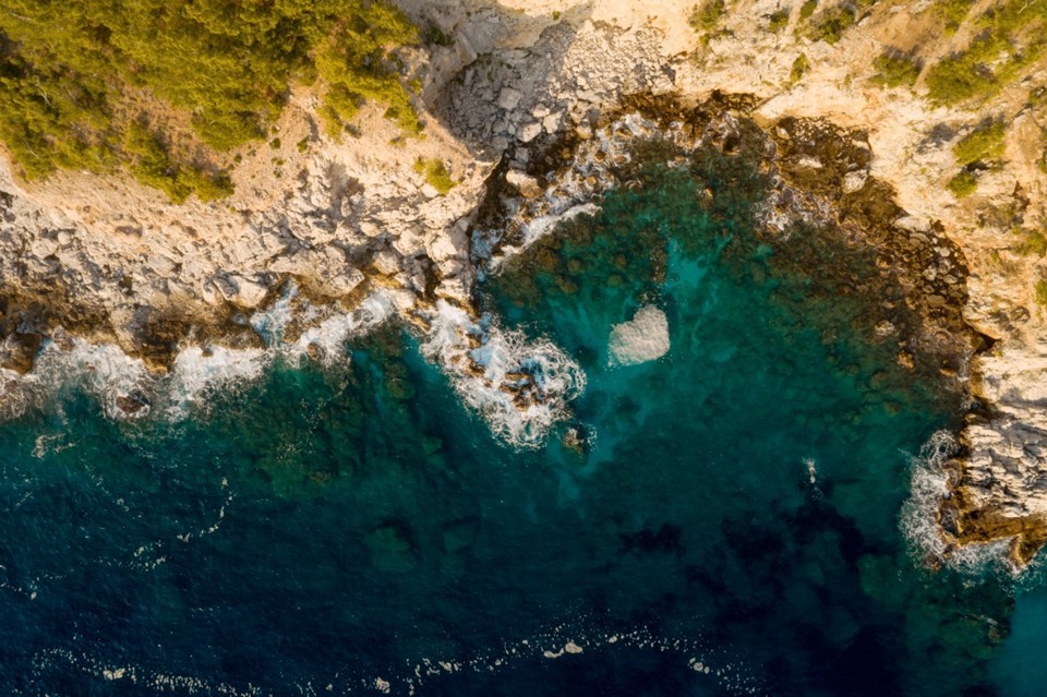 Fapes adere à Chamada Transnacional Conjunta destinada à proteção da biodiversidade e dos ecossistemas terrestres e marítimos