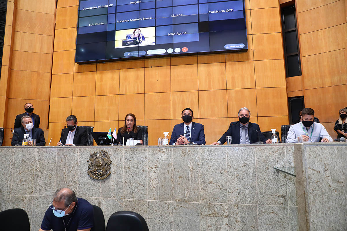 Organização da agricultura familiar em debate