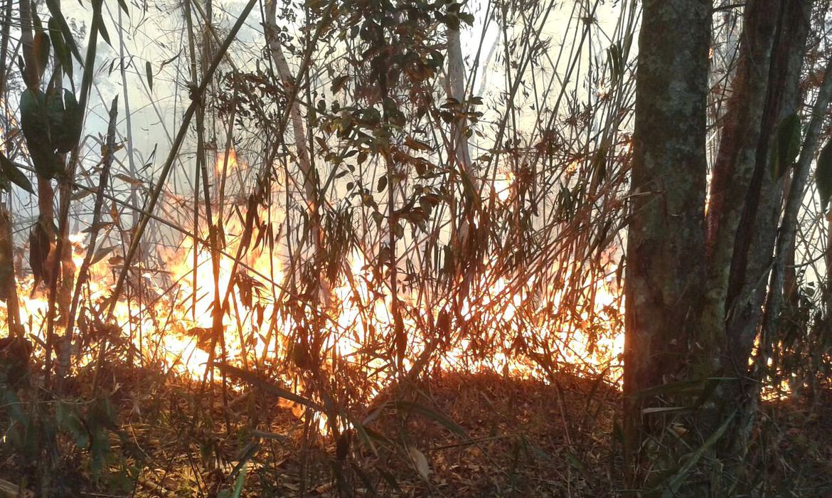 Bombeiros combatem fogo na Serra dos Órgãos pelo terceiro dia seguido