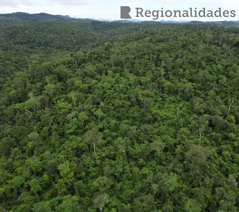 Dia mundial de proteção às florestas: Saiba como é feita a defesa florestal no Espírito Santo