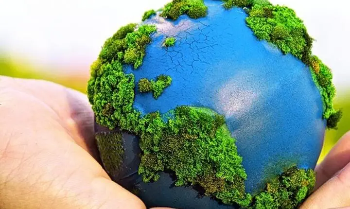 ESG é uma estratégia rentável e sustentável