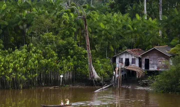 Projeto leva tratamento gratuito a doenças negligenciadas no Amazonas